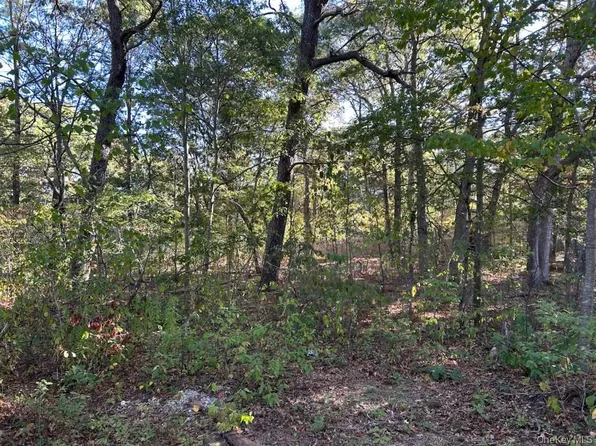 0 Old Medford Avenue, Medford, NY 11763