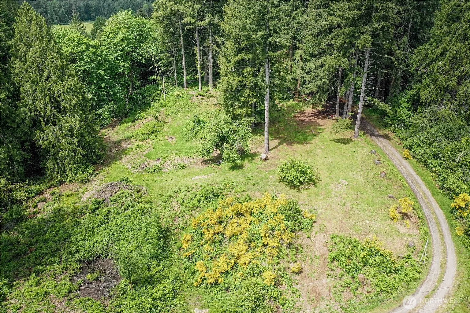 623 Carlson photo 1
