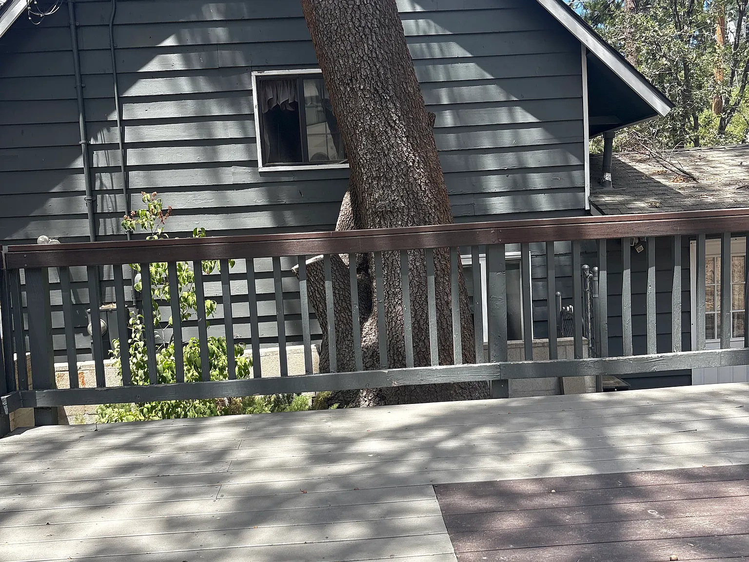 3 bed, 1310 sqft, $2,300 — Photo 4
