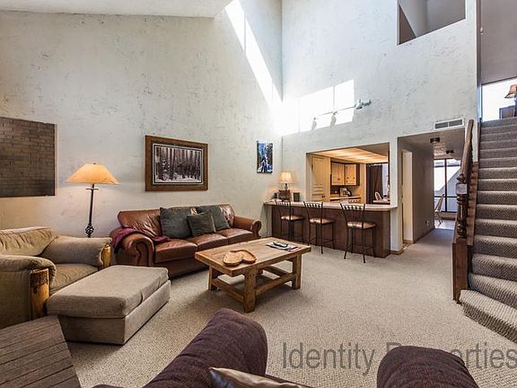 Living room / lofted ceiling