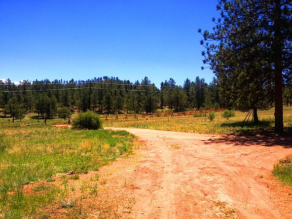 5th image of 955 Forest Service 200 Road