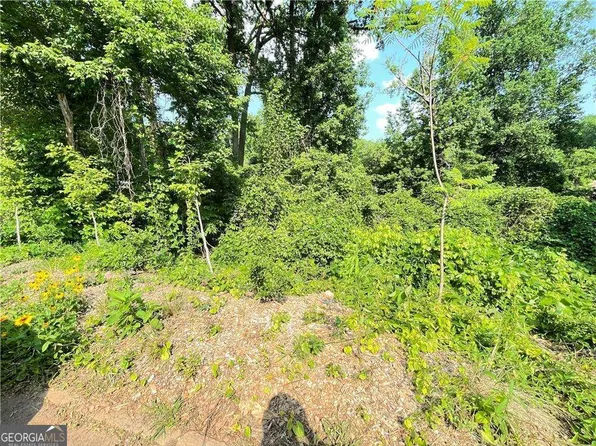 1247 Beechview Dr SE, Atlanta, GA 30316