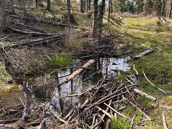 4th image of Harris Ridge Rd