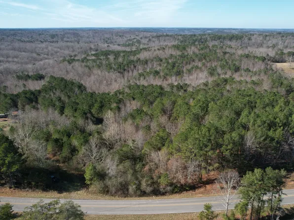 0 County Road 41, Addison, AL 35540