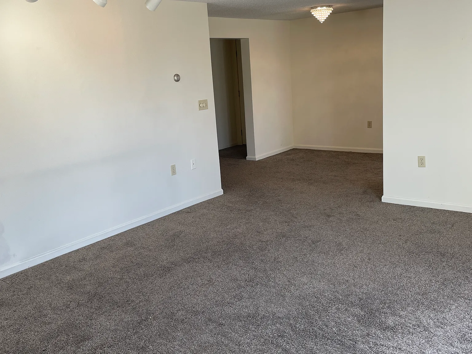 2 bed, 1000 sqft, $1,625 — Photo 3