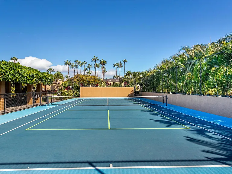 Wailea Alanui Dr — Photo 40