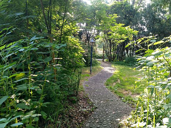 Path - Rear Yard - To Alley