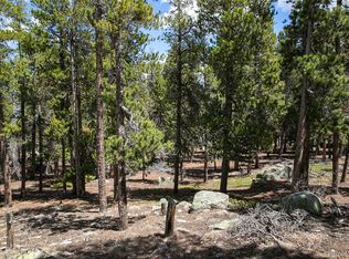 17B Ronnie Rd, Golden, CO 80403