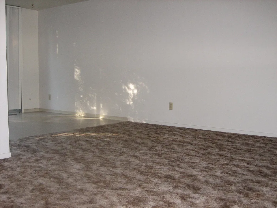 Bedroom- full length wall closets