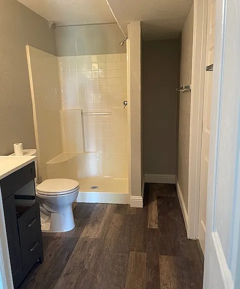Lower level full bathroom