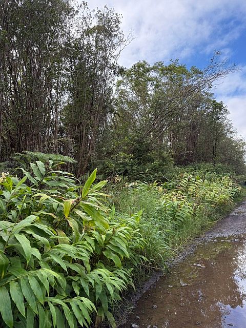 1st image of Road 4 Lot 177