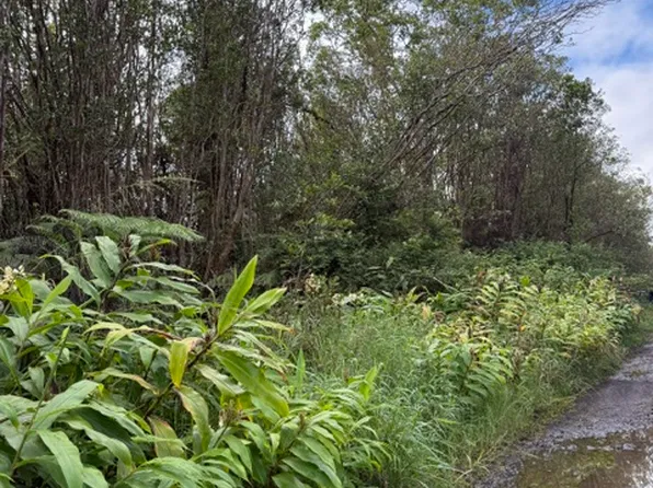 Road 4 Lot 177, Mountain View, HI 96771