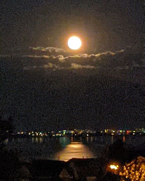 2nd image of 2996 S Fox Point Dr