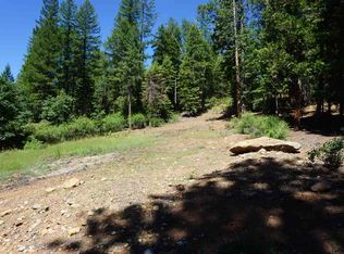 2463 Running Springs Ln, Quincy, CA 95971