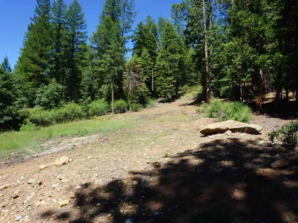 2463 Running Springs Ln, Quincy, CA 95971