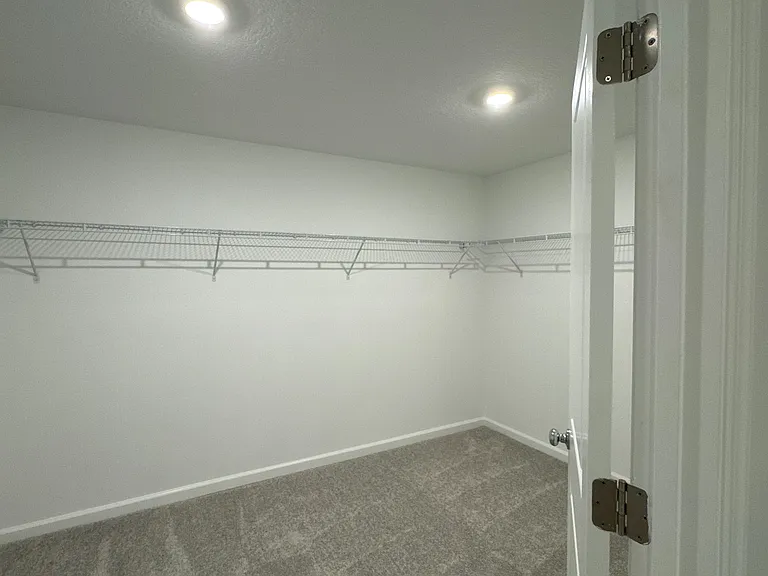 Feathergrass Cir — Photo 5