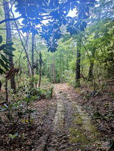 99999 Richard Ln, Black mountain, NC, 28711