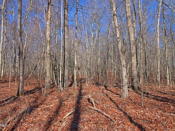 Cole Place Rd, Allardt, TN 38504