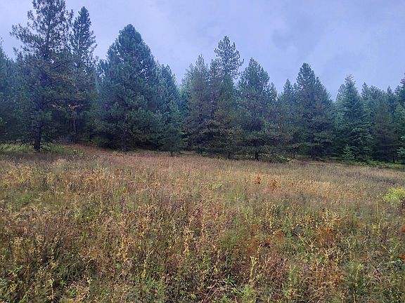 5th image of Smackout Creek Rd