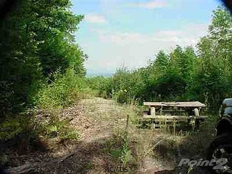 3rd image of 85 Forest Way