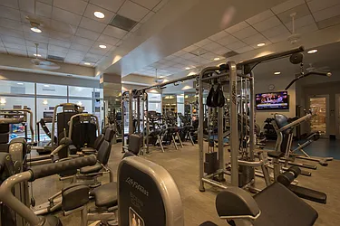 Rented by Citi Habitats