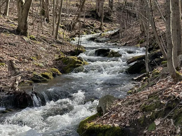 164 Ray Cottone Road, Roxbury, NY 12474