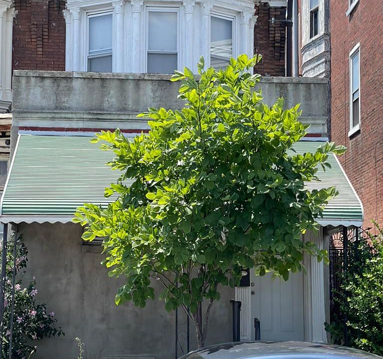1st image of 550 N 63rd St