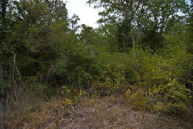 Land / Lot