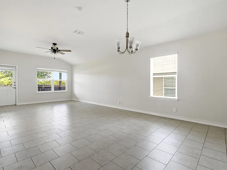 15441 Cooks Petrel — Photo 10