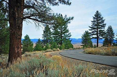 900 Stutler Creek