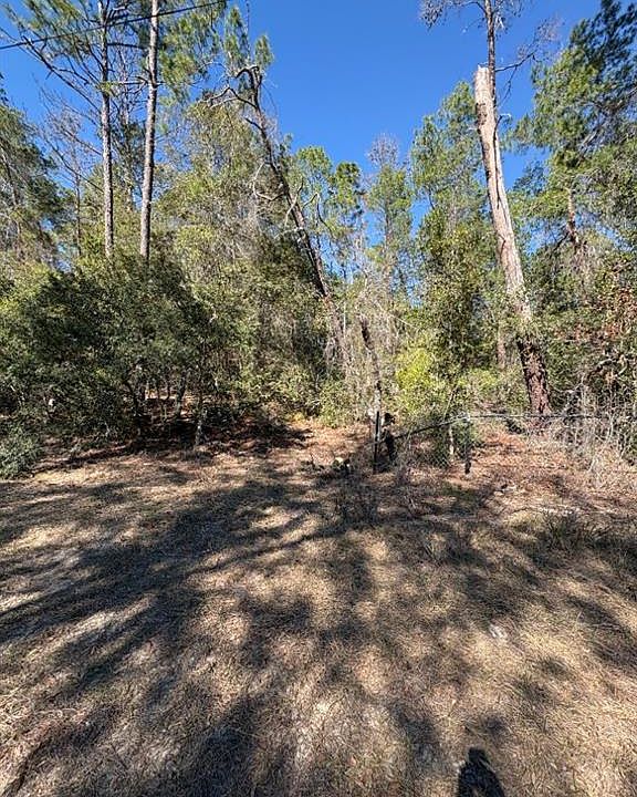 1st image of Old Deer Rd