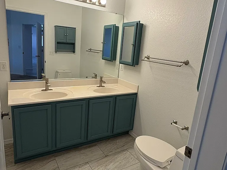 Primary Bedroom Bathroom