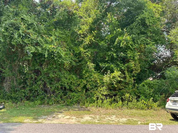 5325 Ornacor Ave, Orange Beach, AL 36561