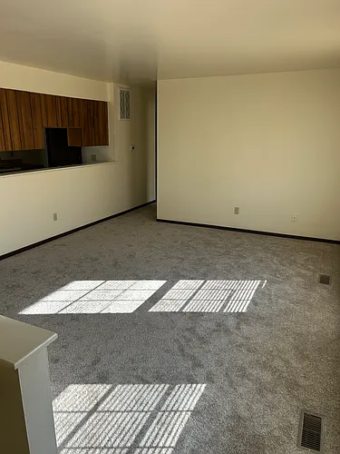 7040 Austrian Pine Way #4 Photo 1