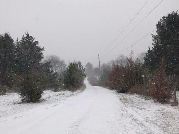 drive way view from house 