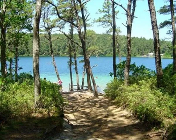3 bed, 1500 sqft, $4,000 — Photo 2