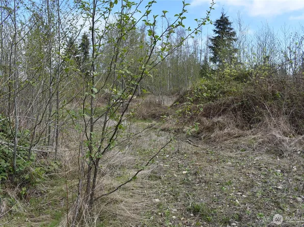 0 Lot 12 W Twin River Road, Port Angeles, WA 98363