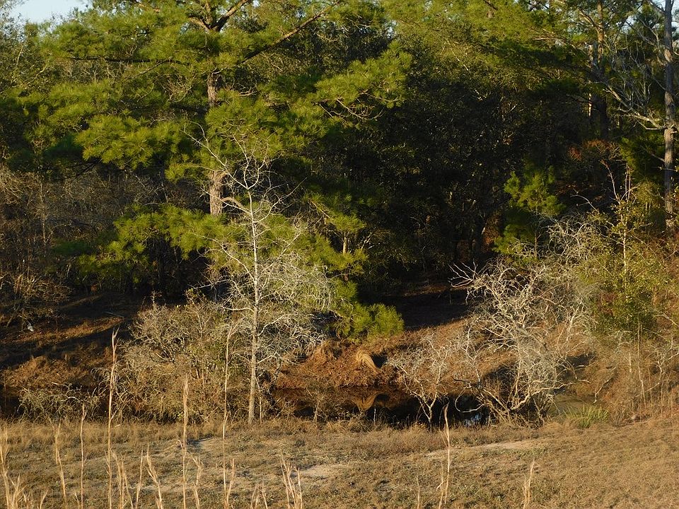 2nd image of W Hwy 280