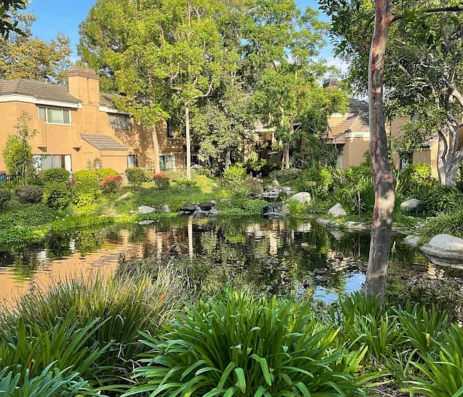 Millpond Ln — Photo 5