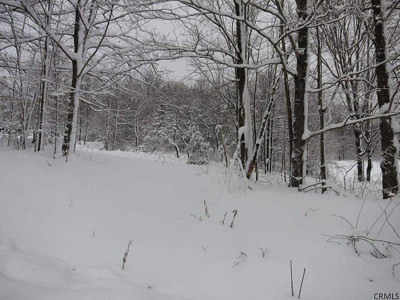 2nd image of 0 HILLS POND Road