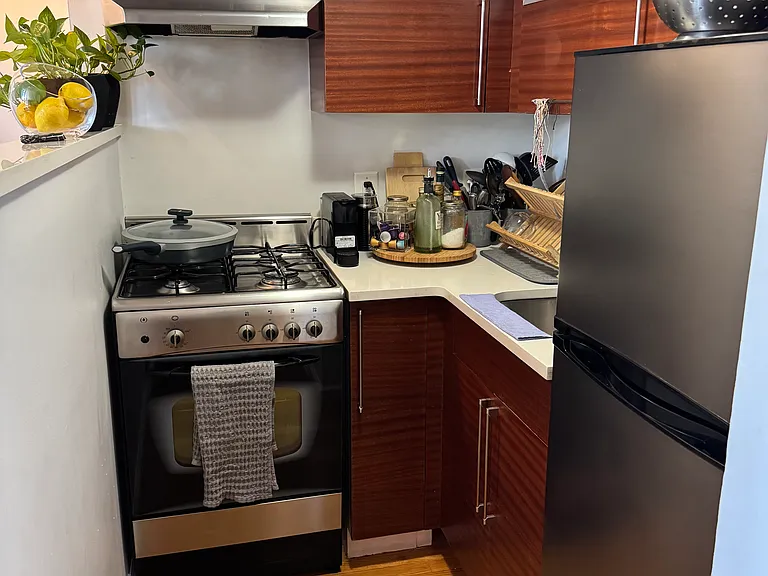 184 Thompson St #5T — Photo 7