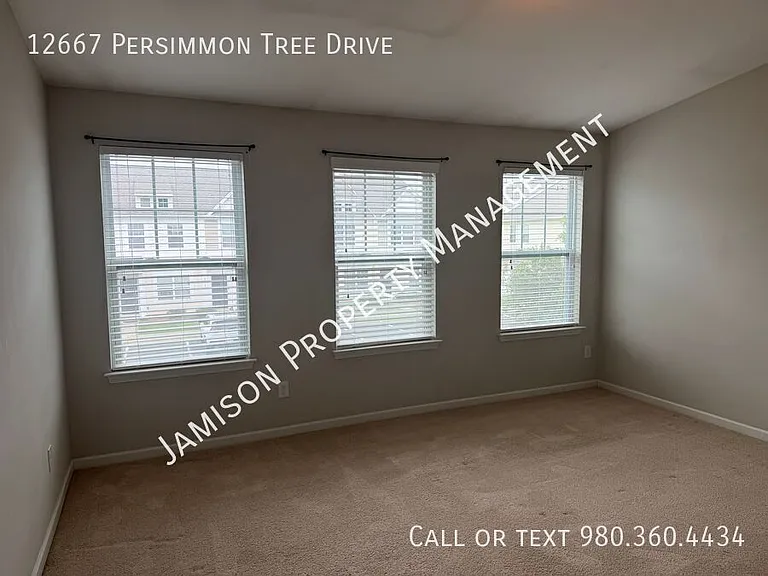 12667 Persimmon Tree Dr — Photo 8