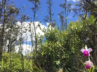 Road 4, Mountain View, HI 96771