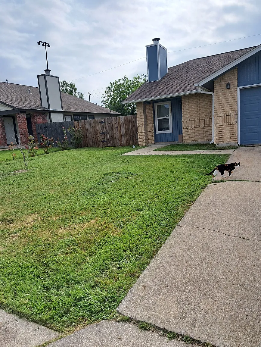 3 bed, 1200 sqft, $1,895 — Photo 2