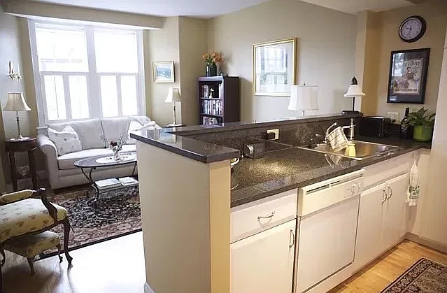 1 bed, 505 sqft, $3,600 — Photo 4