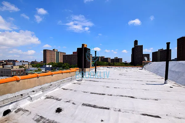 Rented by null | media 19