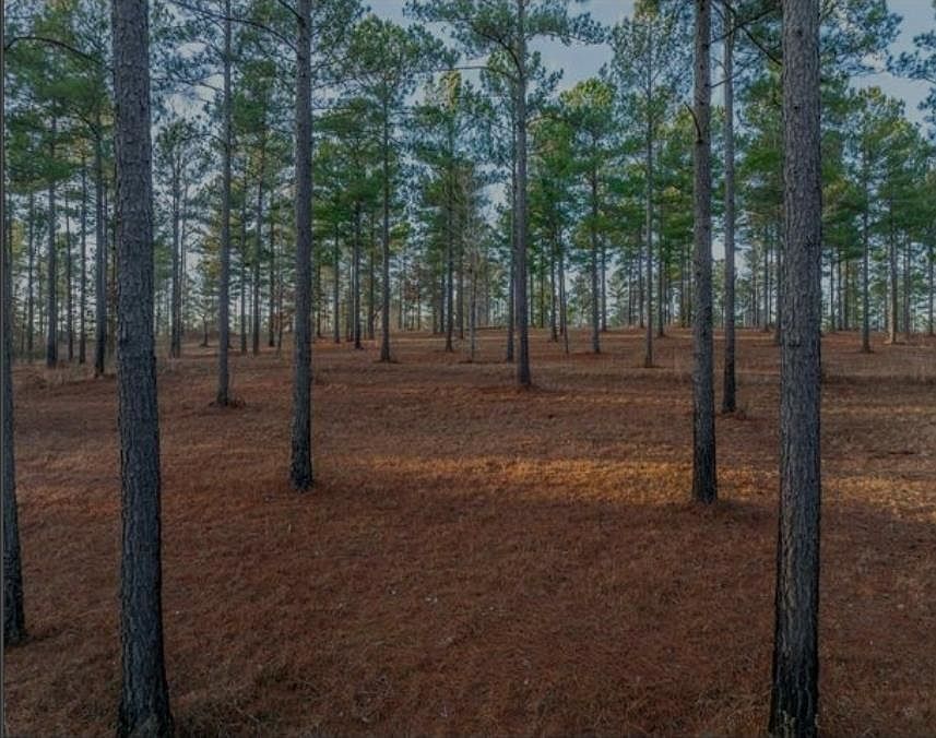 1st image of 163 Overlook Dr #0