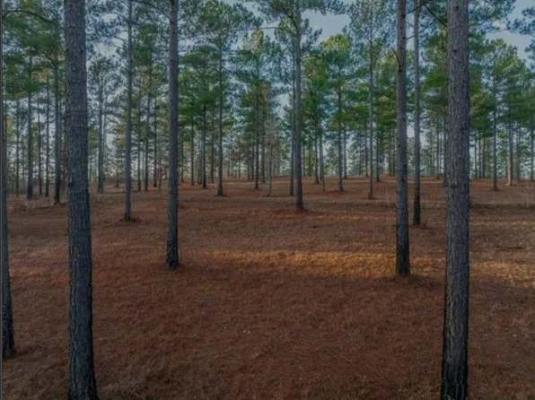 163 Overlook Dr #0, Eatonton, GA 31024