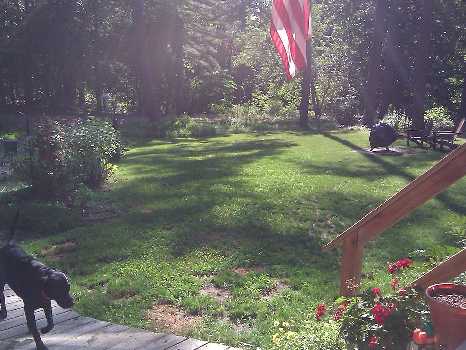 View from front porch