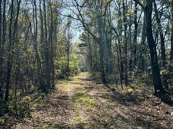 2nd image of 1 Westbury Rd